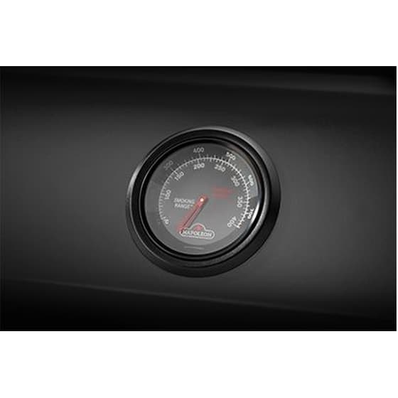 NAPOLEON FP425DSIBPK 15 kW Μαύρο Ψησταριά Υγεραρίου image 10