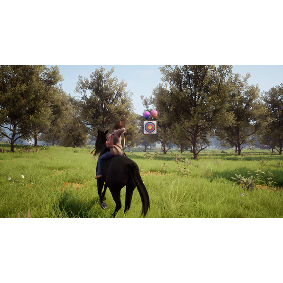 Windstorm: An Unexpected Arrival - Nintendo Switch image 4