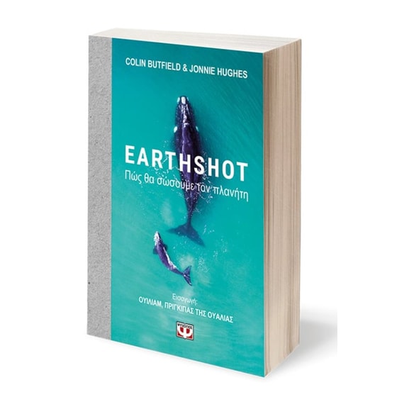 Earthshot image 2