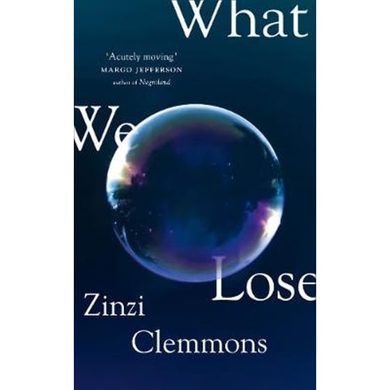 What We Lose image 0