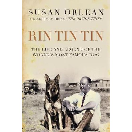 Rin Tin Tin image 0