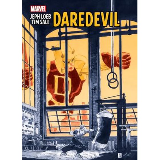 Jeph Loeb & Tim Sale: Daredevil image 0