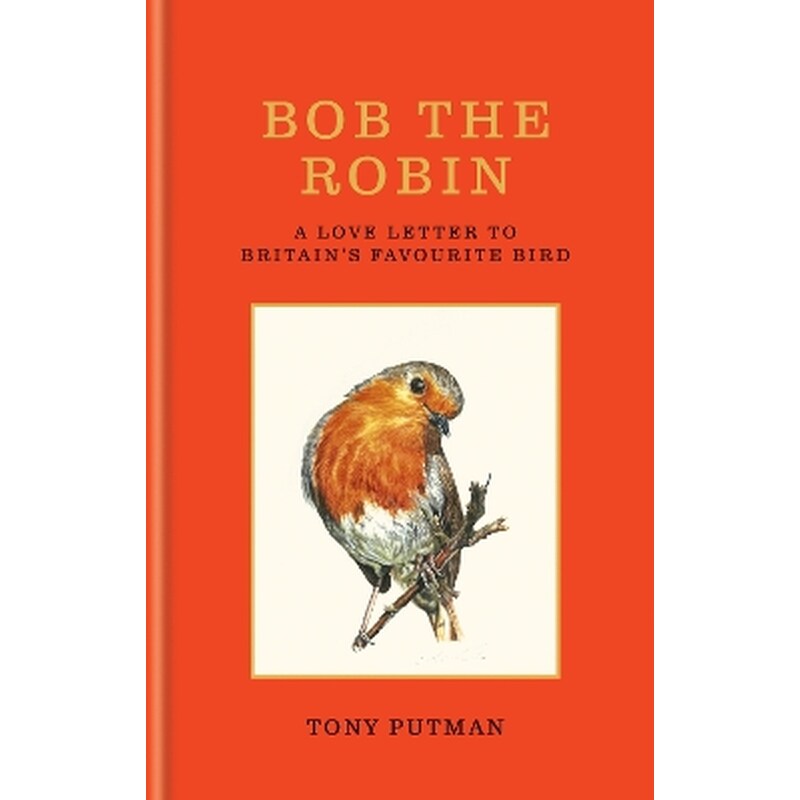 Bob the Robin