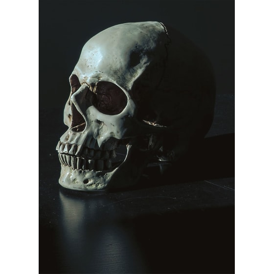 Όμορφη σαν φυλακή που καίγεται image 0