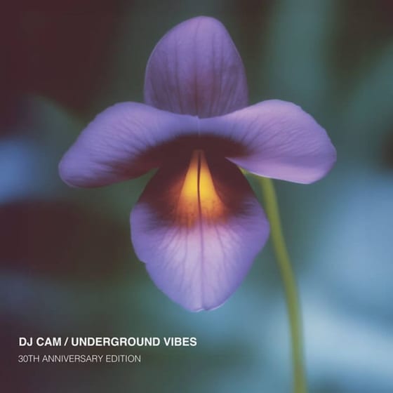 Underground Vibes (LP) image 0