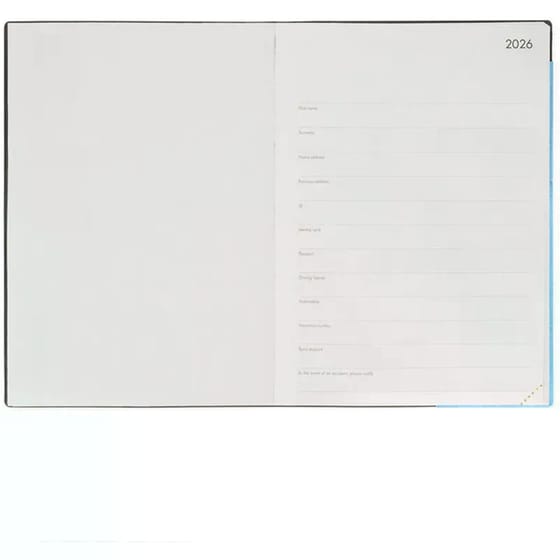 Ημερολόγιo Ημερήσιο Legami 2026 12Μ Large Retro Blue image 1