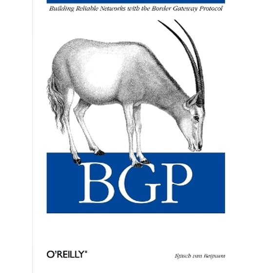 BGP image 0