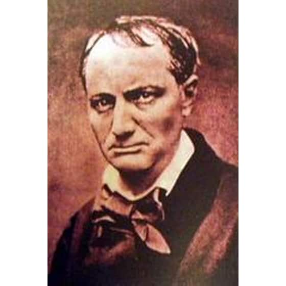 Άνθρωποι και γάτες image 1