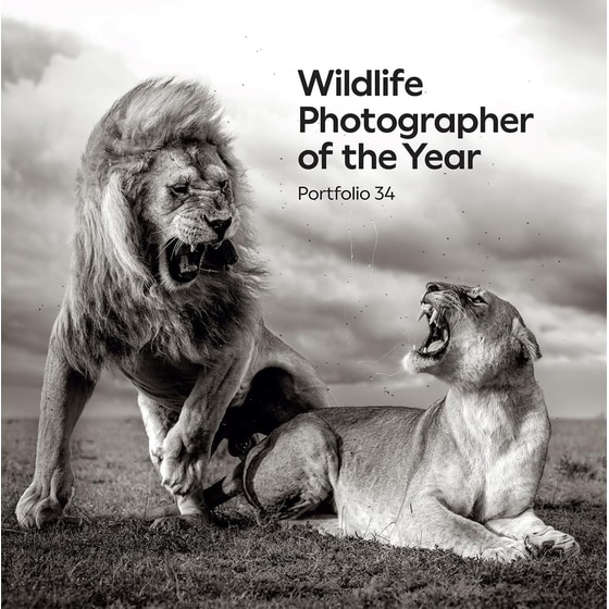Wildlife Photographer of the Year: Portfolio 34 image 0