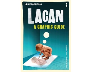 Introducing Lacan image 0