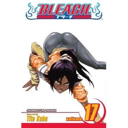 Bleach, Vol. 17