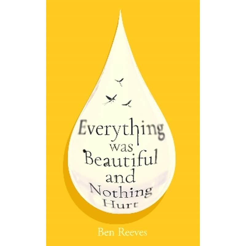 Everything was Beautiful and Nothing Hurt