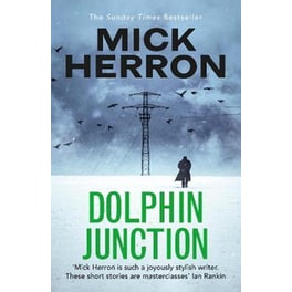 Dolphin Junction