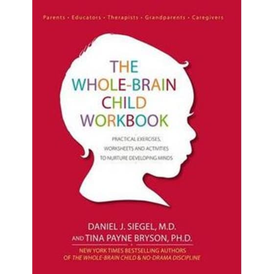 Whole-Brain Child Workbook image 0