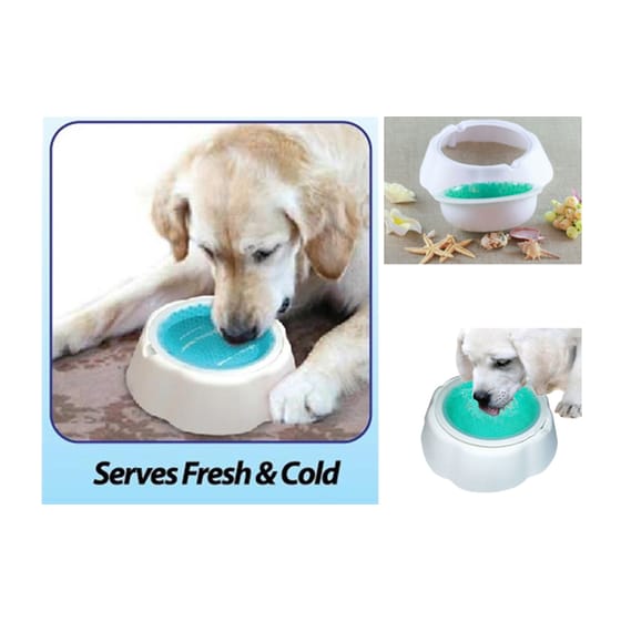 Ποτίστρα/Μπολ Νερού OEM Frosty Bowl Small Για Κατοικίδια - Λευκό image 1