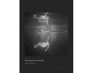 What happens in the dark image 0
