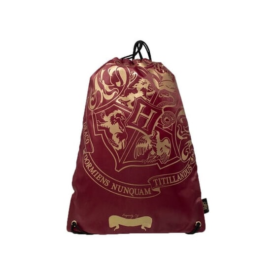 Τσάντα Πλάτης Harry Potter Με Κορδόνι image 1