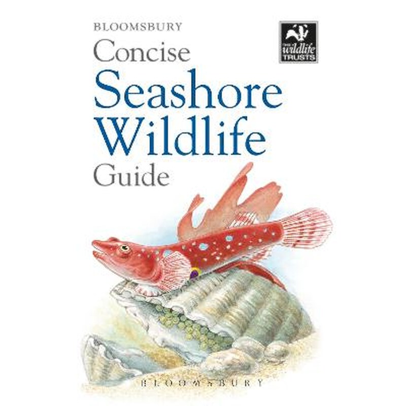 Concise Seashore Wildlife Guide
