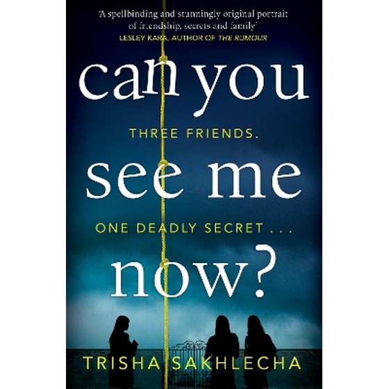 Can You See Me Now? image 0