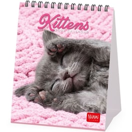 Πλανόγραμμα Μηνιαίο 2027 Επιτραπέζιο Legami 12M Kittens 12 x 14.5 cm