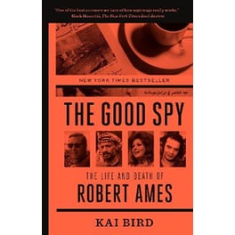 Good Spy