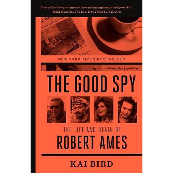 Good Spy image 0