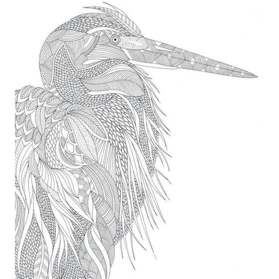 Millie Marotta's Animal Kingdom image 2