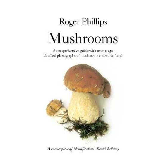Mushrooms image 0