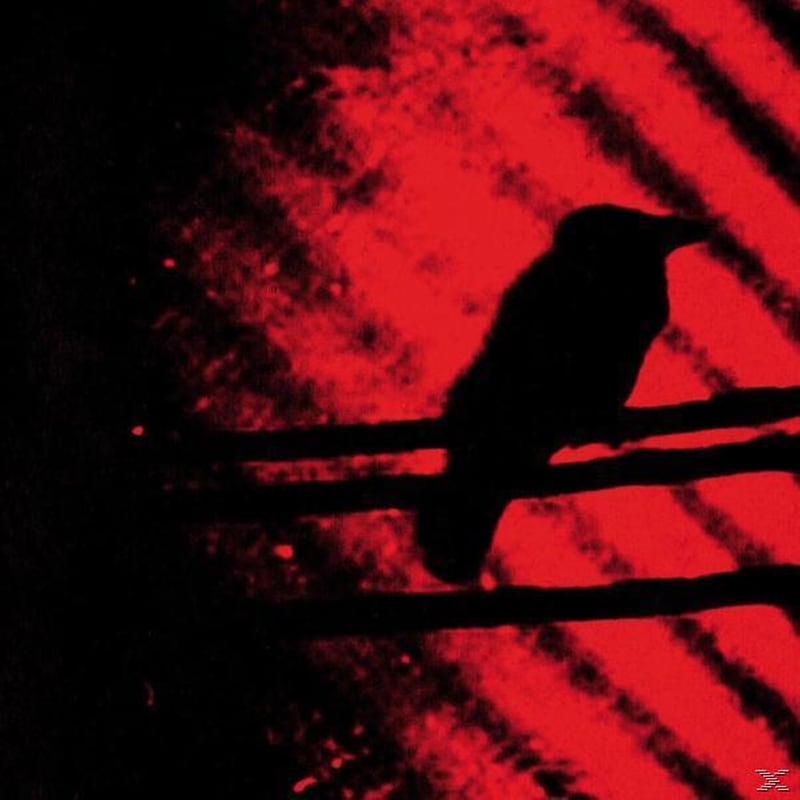 Born Into Trouble As The Sparks..