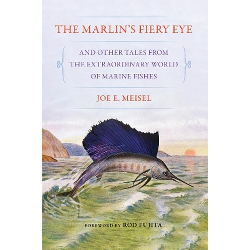 The Marlins Fiery Eye and Other Tales from the Extraordinary World of Marine Fishes