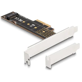 Κάρτα Επέκτασης PCI-e Delock 89836