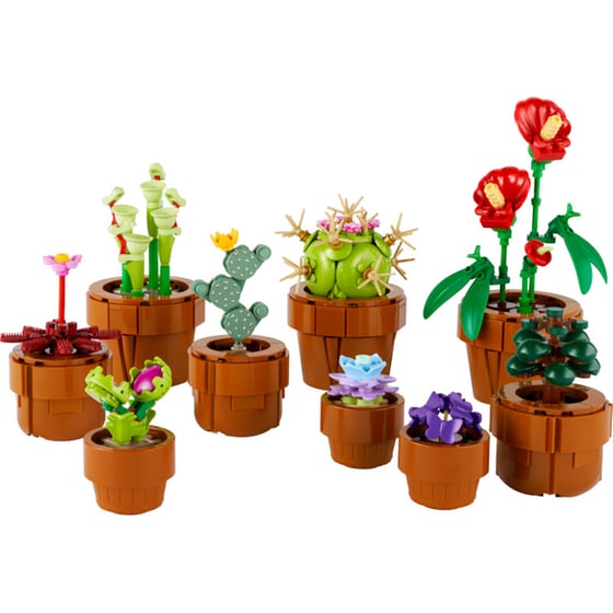 LEGO® Icons Tiny Plants (10329) image 2