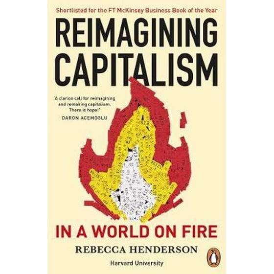 Reimagining Capitalism in a World on Fire image 0