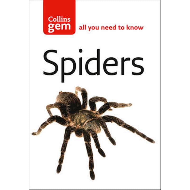 Spiders