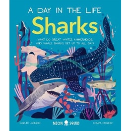 Sharks (A Day in the Life)