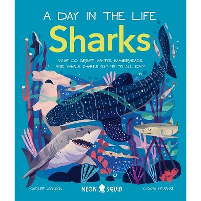 Sharks (A Day in the Life)