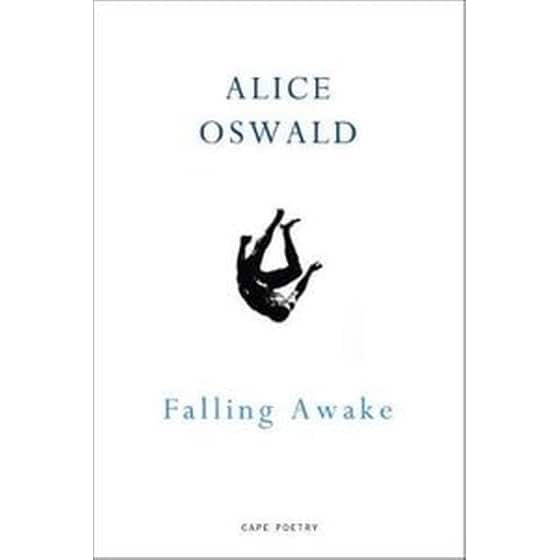 Falling Awake image 0