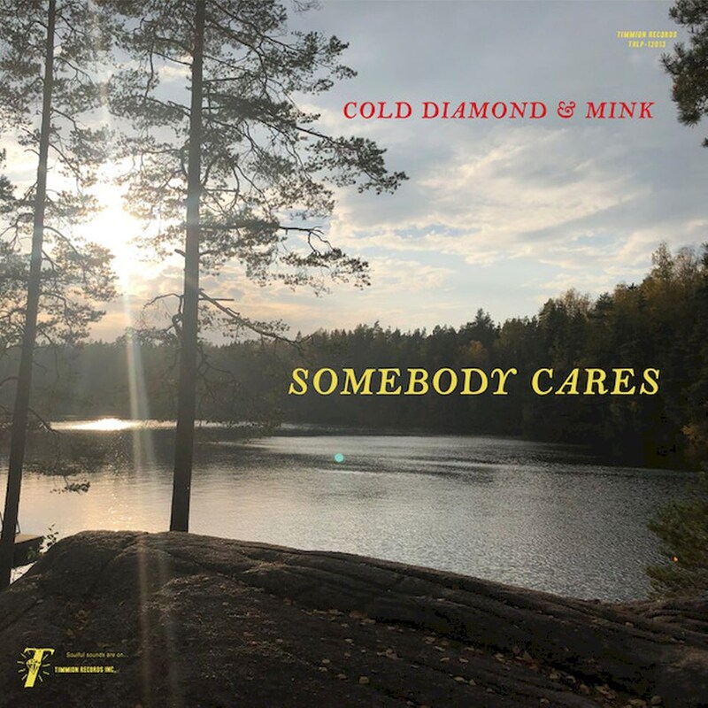 Somebody Cares (LP)