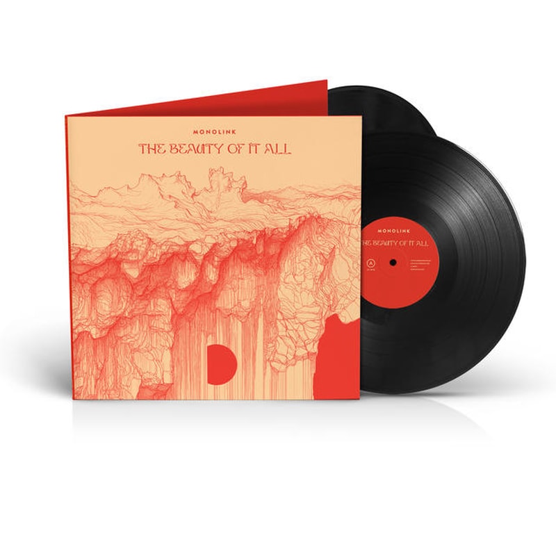The Beauty Of It All (2LP Gatefold Black Vinyl)