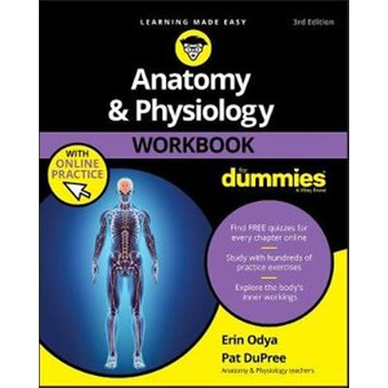 Anatomy & Physiology Workbook For Dummies with Online Practice image 0