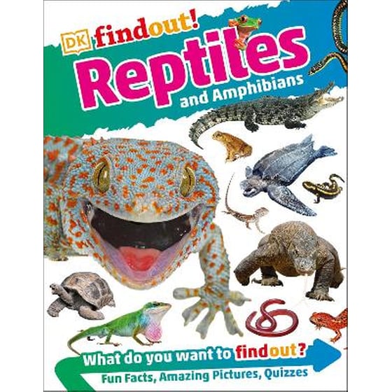 Reptiles and Amphibians image 0
