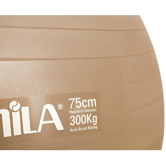 Μπάλα Γυμναστικής Amila Κατάλληλη για Pilates 1.80 kg 75 cm από PVC - Χρυσό image 1