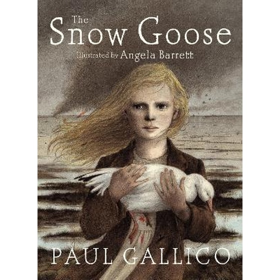 Snow Goose image 0