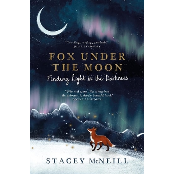 Fox Under the Moon: Finding Light in the Darkness image 0