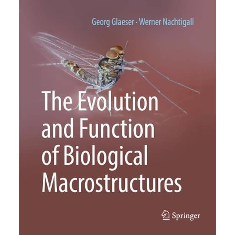 The Evolution and Function of Biological Macrostructures