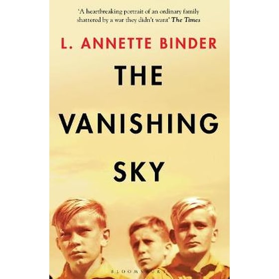 The Vanishing Sky image 0