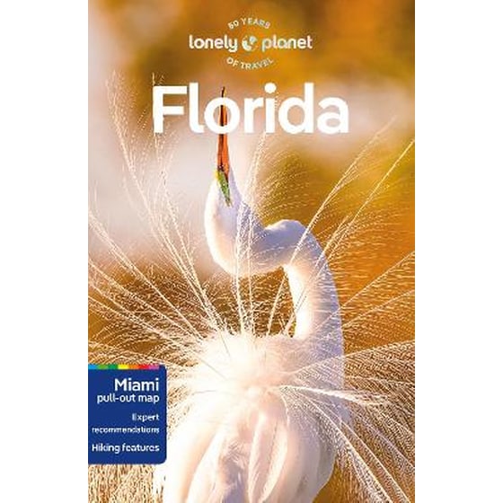 Lonely Planet Florida image 0