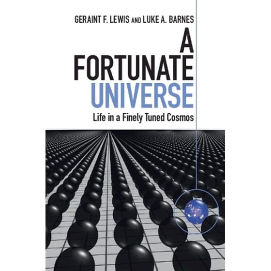A Fortunate Universe image 0