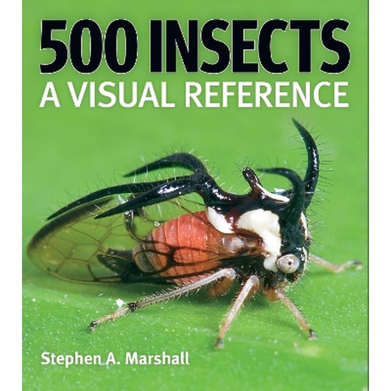 500 Insects: A Visual Reference