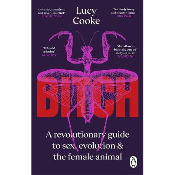 Bitch image 0